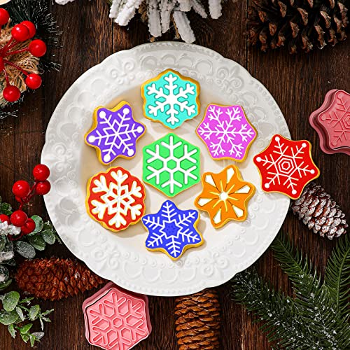 Hoolerry 16 Pcs Winter Snowflake Cookie Cutter Stamps – Snowflakes Edition