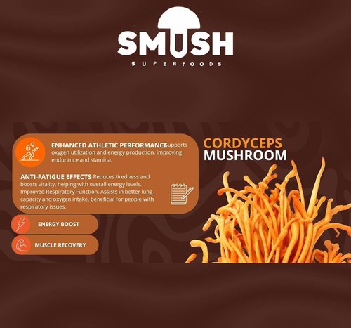 SMUSH - Mushroom Espresso Pods Compatible with Nespresso Original Machines | Enriched coffee with mushroom, Energy & Focus (Pack of 40-Count, Mind - Cordyceps)