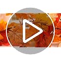 Artificial Maple Leaf Garland 2-Pack - 13ft Autumn Decor for Home