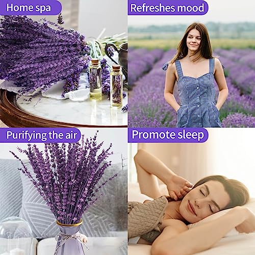 Preserved Lavender Flowers Bouquet - 15-17" Natural Dried Stems Decor