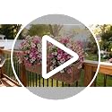 2-Pack 22-Inch UV Resistant Artificial Flower Bushes with Ground Stakes