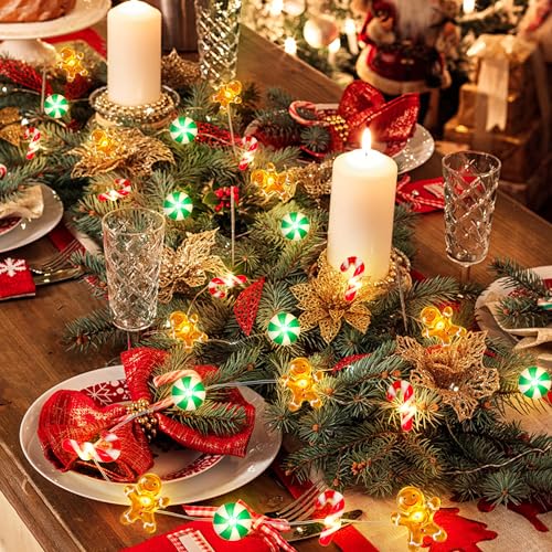 Mosoan Timer Christmas Lights 10 ft 30 LED Battery-Operated Candy Cane Gingerbread Snowflake String Lights (Style 1)