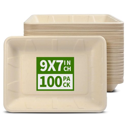 AICHEF 100 Pack 9 x 7 inch Rectangle Paper Plates for Tacos, Pasta, Salads, Pizza Slice, Dessert, 9 inch Disposable Food Trays Camping Picnic Party Use