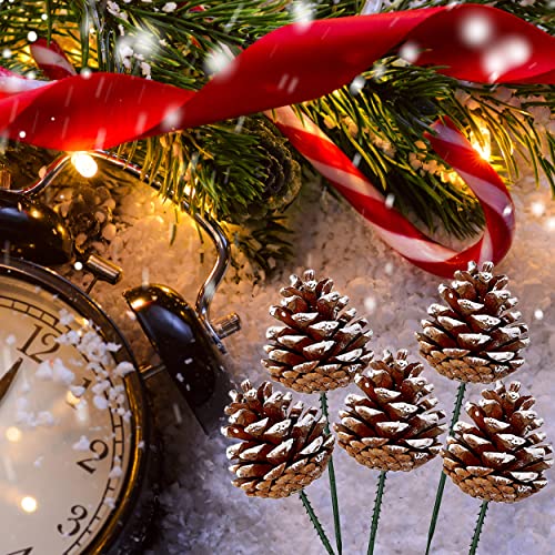 20 Pcs Snow Frosted Pine Cone Picks with Stems for Holiday Decor