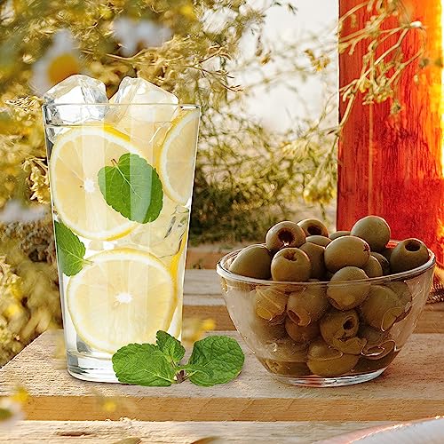 12 Pack 16oz Beer Pint Glasses Set - Premium Highball Cocktail Glassware