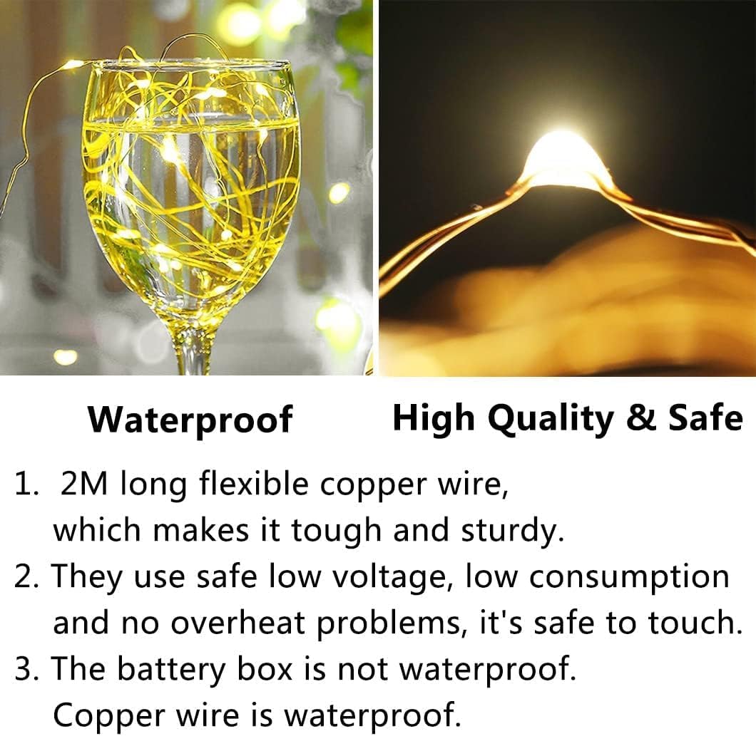 Skiennix 24 Pack Fairy Lights - Battery Operated 7FT Waterproof Silver Wire String Lights for Indoor/Outdoor Decor