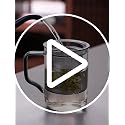 Unbreakable Modern Glass Tea Cup with Infuser & Lid 14.5oz Heat-Resistant Borosilicate