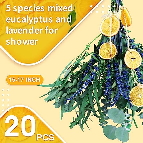 Natural Preserved Eucalyptus & Lavender Shower Bundle - 20 Pieces