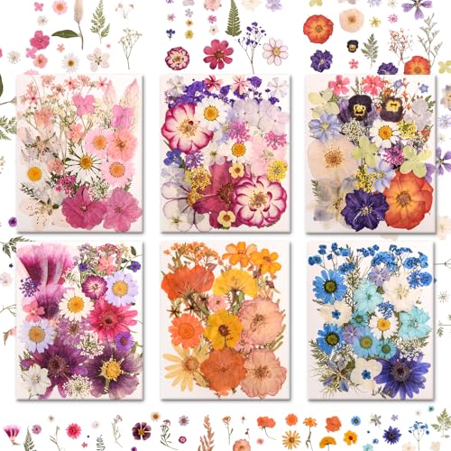 182 PCS Real Pressed Dried Flowers and Leaves Set with Tweezers for DIY Crafts
