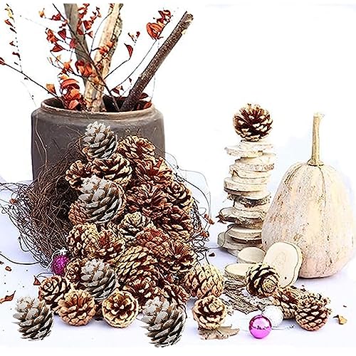 180 PCS Mini Frosted Pine Cones, 2cm Rustic White Snow Pinecone Ornaments