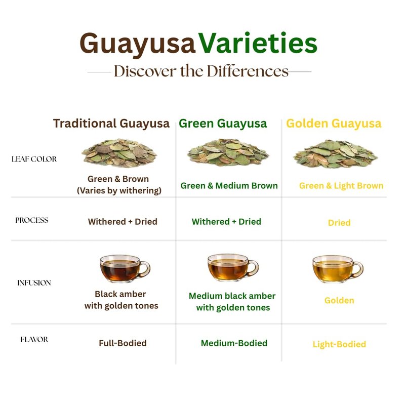 GUAYUSA TEA BAGS by PACHA | Naturally High in Antioxidants, L-Theanine & Theobromine | Sustained Energy Herbal Tea | Alternative to Yerba Mate, Coffee, Black and Green Tea. (100 Count, Guayusa)
