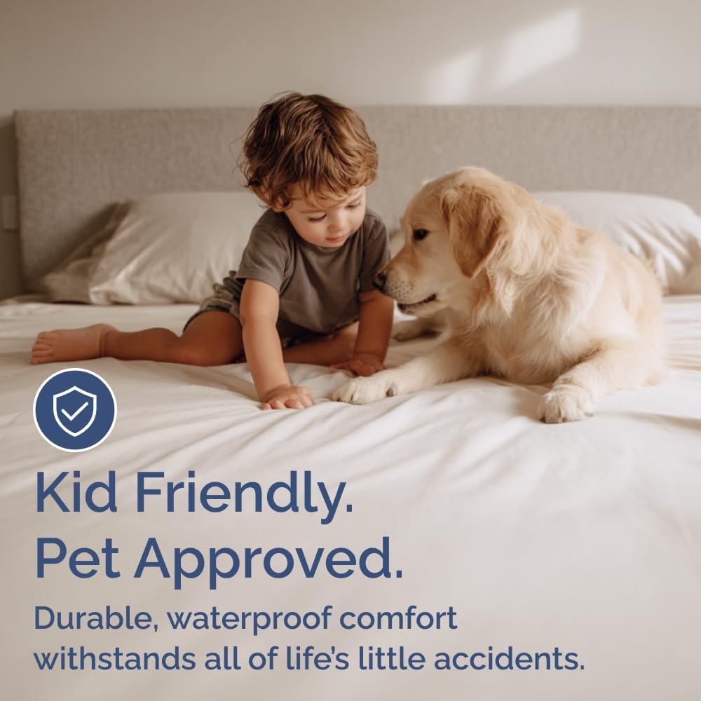 Queen Mattress Protector by [Brand Name] - Waterproof Bed Cover with 16" Deep Pockets | Soft, Breathable & Noiseless