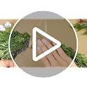 16-Inch Norfolk Pine Christmas Wreath for Front Door and Home Decor