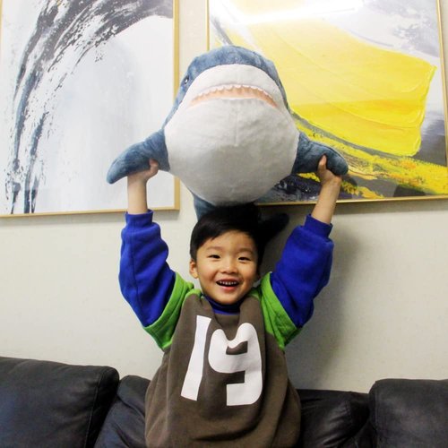Ryttir 31 Inch XL Giant Shark Stuffed Animals,Chubbier Shark Pillow Soft Shark Plush Shark Body Pillow Stuffed Shark Décor, Perfect Chrismas Stress Relief Gift for Kids Women