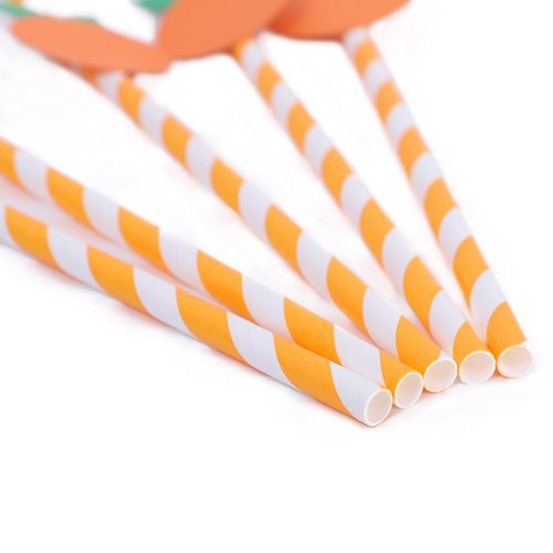 Orange Paper Straws - Biodegradable Disposable Drinking Striped PaperStraws 15 Pieces, Little Cutie Straws, Little Cutie Baby Shower Decorations, Little Orange Themed Birthday Decorations