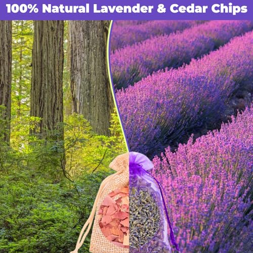 Natural Lavender and Cedar Sachet Set for Closets and Drawers