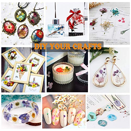 92 Pcs Natural Purple Dried Pressed Flowers for Resin, Candles, and Nail Art