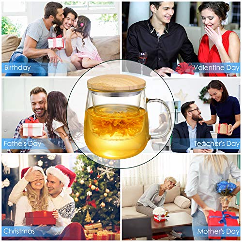 Lezero 15oz Clear Glass Tea Cup with Infuser & Lid - Transparent, Food-Grade Borosilicate Glass
