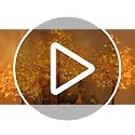6FT Lighted Maple Tree with 120 Warm White LED Lights - Fall Decor