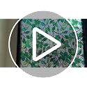 Decorative Rainbow Window Privacy Film - Green Leaf Design, 17.5 x 78.7 in