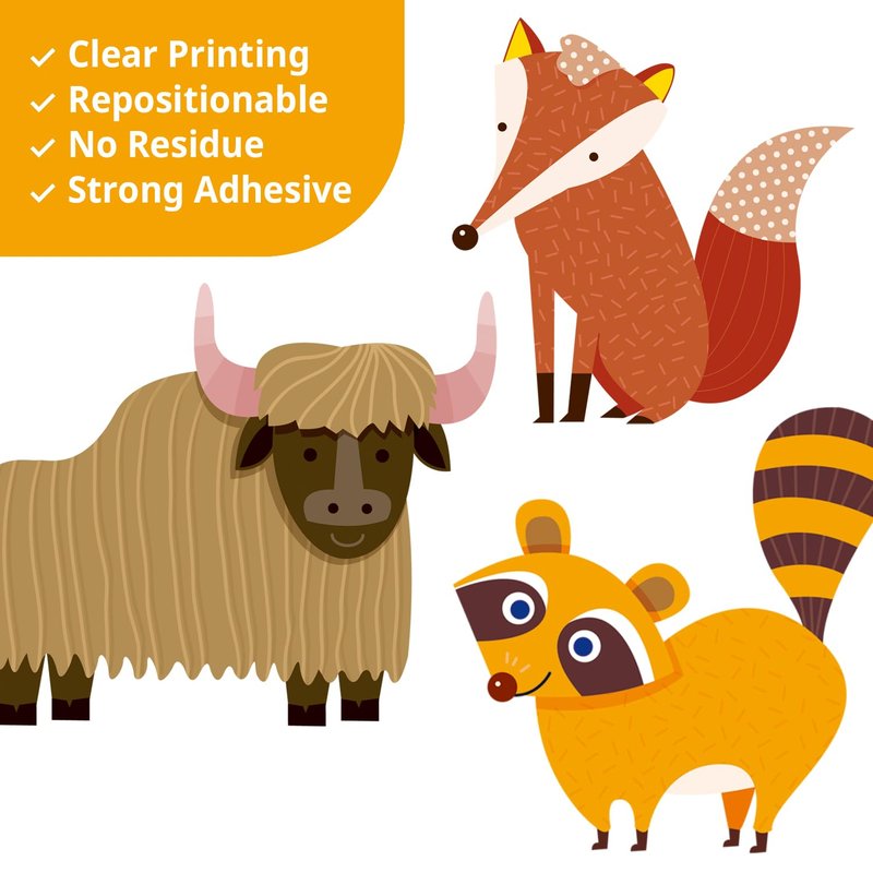 DECOWALL DS12-8070N Animal Alphabet Numbers Colour Weather Kids Wall Stickers Decals playroom Letters Decor Bedroom ABC Nursery Classroom Toddlers Learning Educational Baby Rainbow Colorful