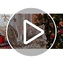 Lewondr Christmas Pillow Cover - Beige Trees, 12x20 Inch, Velvet & Embroidered Design
