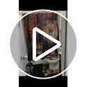 4-Piece Lion and Red Rose Shower Curtain Set with Non-Slip Bath Rugs