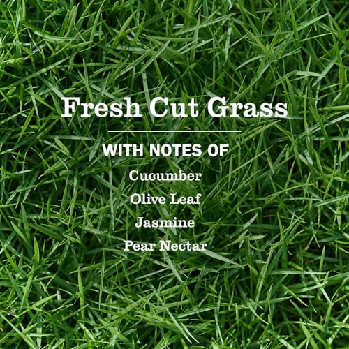 Fresh Cut Grass Scented Oil Refills for Plug-In Diffuser, 2-Pack