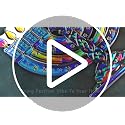 Rainbow Hummingbird Christmas Ornament - Hanging Tree Decor by Sensemory