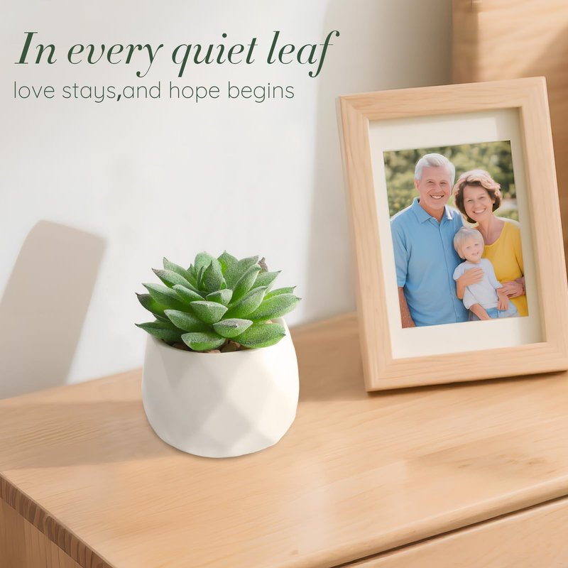 Ceiner Sympathy Gifts for Loss of Loved One, Memorial Condolences Gift Basket with Suncatcher for Loss of Mother Father Husband Friend Child Baby, Bereavement Grief Care Package for Women Healing