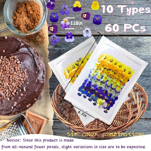 60 Pcs Natural Pressed Dried Viola Flowers for Resin Jewelry and Crafts