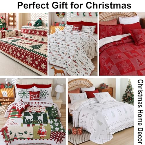 King Size 5-Piece Christmas Quilt Set Reversible Santa Reindeer Snowflake Bedding
