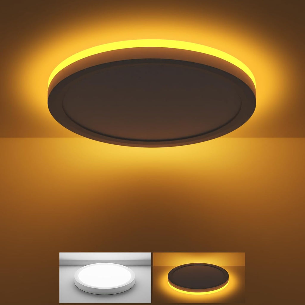 Skiennix 12 Inch LED Ceiling Light - 24W 2400LM, Selectable 3000K to 6500K | Modern Flush Mount Fixture for Bedroom, Bathroom, Kitchen