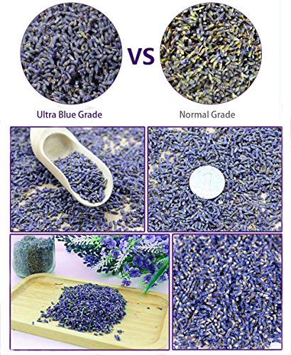 Natural Fragrant Dried Lavender Buds - Ultra Blue Grade (225g / 0.5 lb)