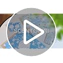 Fresh Linen Scented Sachets for Closets and Drawers, 14 Pack