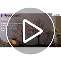 Lighted Halloween Trees 2-Pack, 22" Black Tabletop Decor with Orange & Purple LEDs