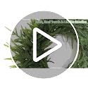 23" Norfolk Pine Wreath - Pre-Lit Front Door Decor, Hecaty 23inch