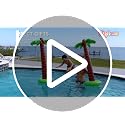 Inflatable Palm Trees 6 Foot 2 Pack Tropical Luau Party Decor