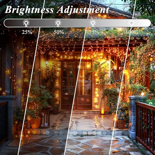 LitHome Color Changing Connectable LED Christmas String Lights 66Ft, 200 LEDs, Clear Wire
