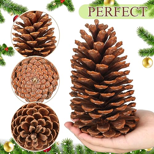 Huwena 24 Pcs Large Natural Pine Cones 5-6 Inches for Holiday Decor, Unscented