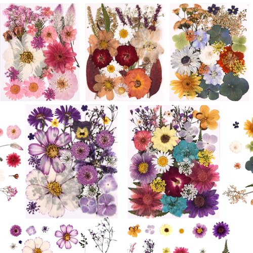 Pressed Dried Flowers and Leaves Set with Tweezers - 140 Pcs for Resin Art