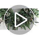 24-26 Inch Eucalyptus Wreath with White Berries for Front Door Decor