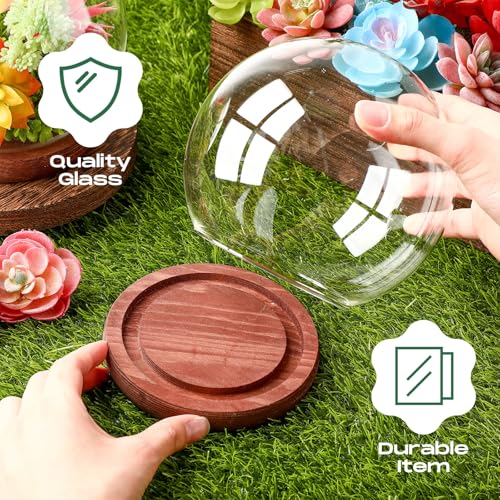 4-Piece Glass Display Dome Set with Wood Base, 5.9-Inch Clear Globe Case