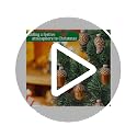 Watayo 12Pcs Christmas Glass Pinecone Ornaments - A Style, Holiday Decor