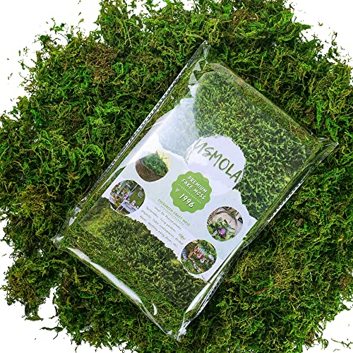 Artificial Decorative Moss, 16oz Faux Green Moss for Crafts and Terrariums