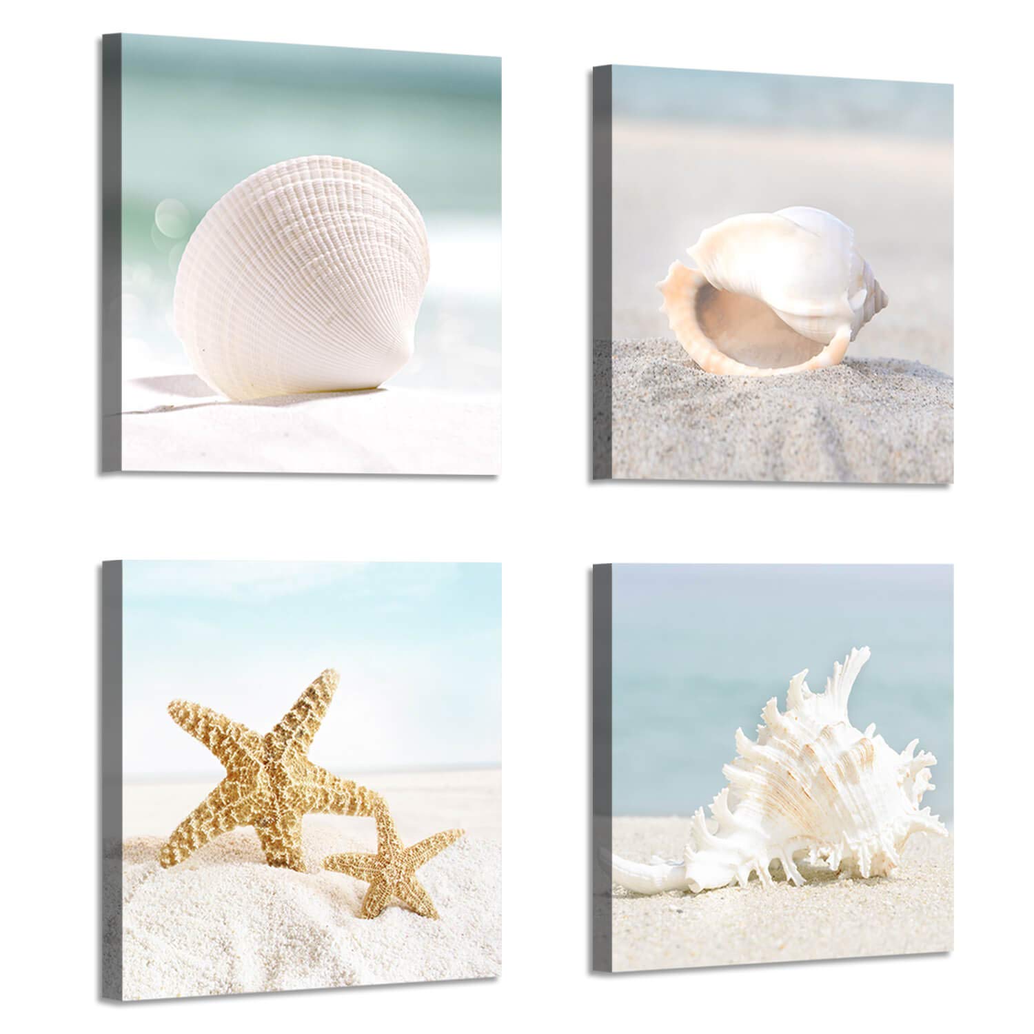 ARTISTIC PATH Starfish & Seashells Canvas Wall Art: Sandy Beach Seaside Graphic Artwork for Bathroom (16''W x 16''H x 4 Pcs,Multi-Sized)