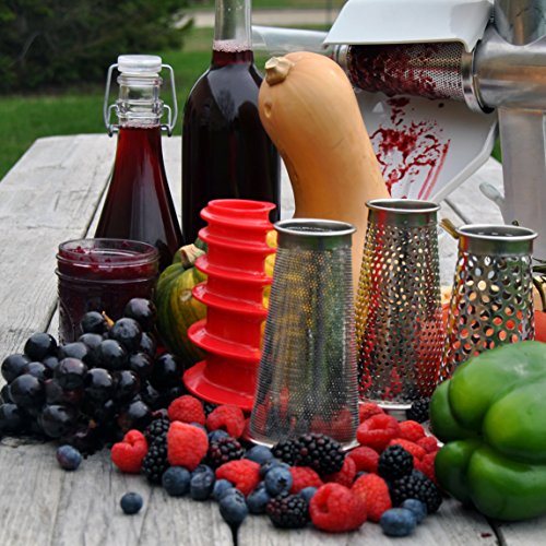 4-Piece Food Strainer and Sauce Maker Accessory Kit for Kitchen Prep