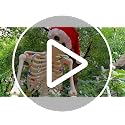 12 ft Skeleton Outfit with Santa Hat, Bag, Candy Cane & 50 LED Lights for Outdoor Halloween Christmas Display