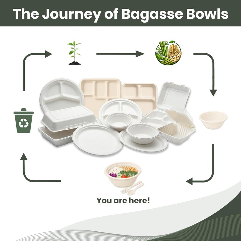 FPN Disposable Paper Bowls (500 Pack 12 oz), Heavy-Duty Compostable, Eco-Friendly, Bagasse Bowl for Soup, Salad, Dessert & More