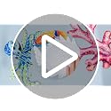 8-Piece Metal Coastal Wall Art Set, Colorful Tropical Sea Life Sculptures